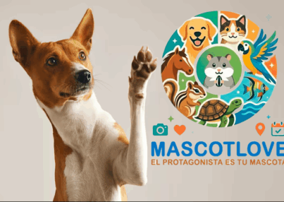 ¿Por qué tu mascota necesita su propio perfil en MascotLove
