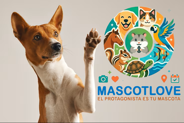 ¿Por qué tu mascota necesita su propio perfil en MascotLove