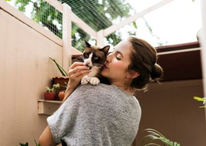 Cómo adaptar tu casa para la llegada de un nuevo gato