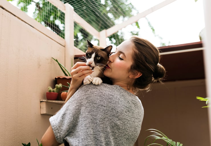 Cómo adaptar tu casa para la llegada de un nuevo gato