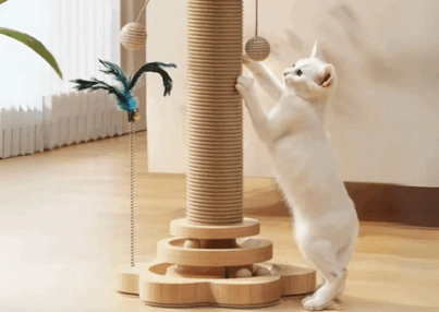 Por qué los felinos necesitan rascar a diario de forma obligatoria
