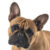Foto del perfil de Lucky