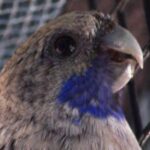 Foto del perfil de Cateline