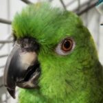 Foto del perfil de Cielo