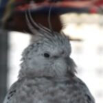 Foto del perfil de Hupette