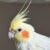 Foto del perfil de Lola