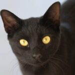 Foto del perfil de Pepa