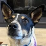 Foto del perfil de Vénus