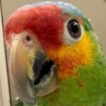 Foto del perfil de Zeus
